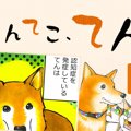 てんてこ、てん。【…
