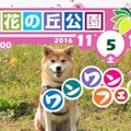 ワンワンフェスタin…
