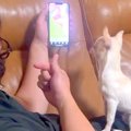SNSで見かけた『犬の…