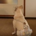 切ない背中…６年間愛…