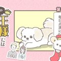 うちの王様にはどう…