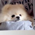 体調不良が続いてぐ…