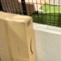 配達員から『お届け…
