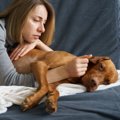 犬が『辛い』と感じ…