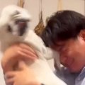パパが帰宅→犬が『塩…