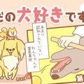 ただの犬好きです。…