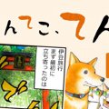 てんてこ、てん。【…