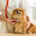 犬がクーラー病にな…