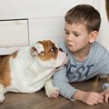 犬は飼い主が落ち込…