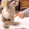 『ベル鳴らしの練習…