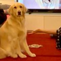 ストレッチをしてい…