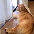 お父さんが2日間の出…