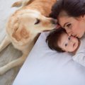 犬が『独り占めした…