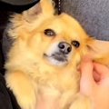 家に彼氏が遊びに来…
