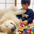 レゴで遊ぶ3歳の女の…