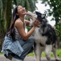 犬が『味方』だと認…