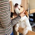 犬が『離れないでほ…