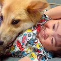 仲良しな元野犬の子…