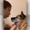 咬みつくとして殺処…