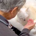 おじいちゃんから貰…