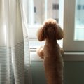 近所迷惑になりそう…