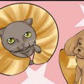 それでも君が好き　…