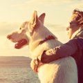 人間の寿命は犬から…