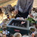 「お肉まだかなぁ♪」…