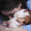 愛犬が死んだ後に襲…