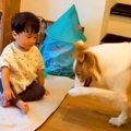 芸の練習をする賢い…