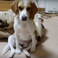 「お疲れ様です！」…