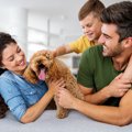 犬を迎える前に知っ…