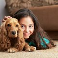人気の犬種ランキン…