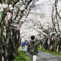 盲目の愛犬が見せる…