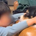 『男の子のおもちゃ…