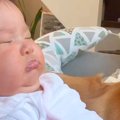 いつも赤ちゃんを優…