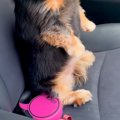 車の助手席に乗って…