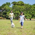 小型犬に必要な『一…