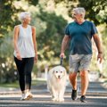 犬の平均寿命が延び…