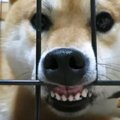 目は口ほどに物を言…