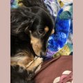 『アニメみたいな顔…