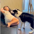 犬が家族に嫌がられ…