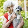 犬を飼っている人は1…