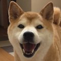 【ツイッター】14歳…