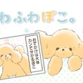 ふわふわぽこ。【第1…