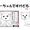 ちーちゃんですけど…