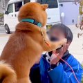 朝、佐川急便の配達…