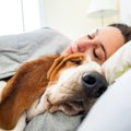 犬が『一緒に寝たい…