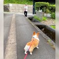 お散歩の帰り道で、…