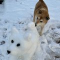 お庭に犬の雪像を作…